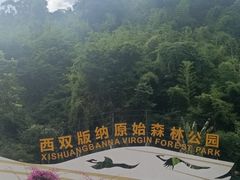 -西双版纳原始森林公园