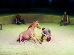 -cavalia·舞马
