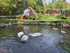 -HERRE·FARM 赫尔露营农场·团建聚会包场