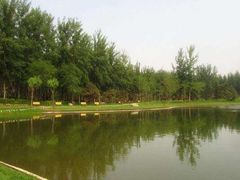 -仁和公园(顺义区)