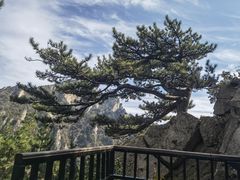 -老界岭旅游度假区