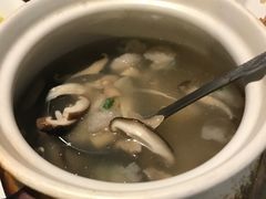 -四季春