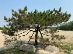 -东郊湿地公园