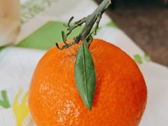 -渔语鱼酸菜鱼新川菜(来福士店)