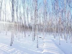 -北极村旅游风景区