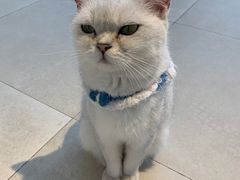 -怪兽屋·羊驼·猫咖·狗咖(俊华广场店)