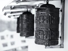 -维乐口腔医院(星海湾分院)