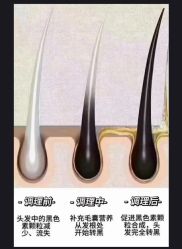 -Bollins波林丝•专研护发中心