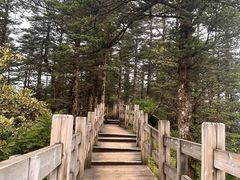 -西岭雪山大飞水景区