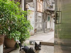 -义顺牛奶公司(新马路老店)