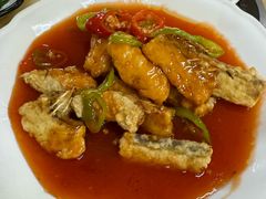 -三得正宗乌烈乳羊(环城东二路店)