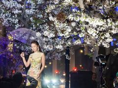 -上海南浦大桥长途旅游客运站