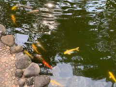 -海南文笔峰盘古文化旅游区