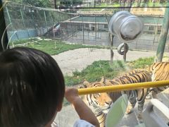 -栾川竹海野生动物园