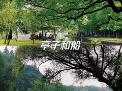 -上海共青森林公园