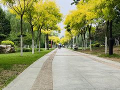 -南翠屏公园