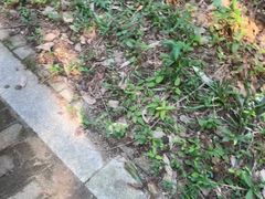 -宝岩生态观光园