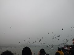 景点-栈桥景区