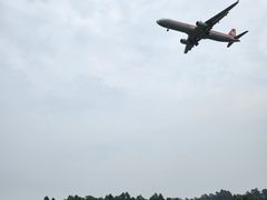 -空港花田景区