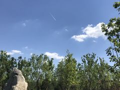 -张家湾公园