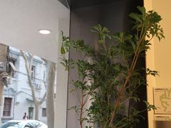 -村口大树(长乐路店)