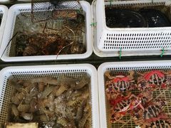 -红月湾海鲜饭店•沙滩海景(双月湾店)
