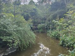 -龙头寺公园