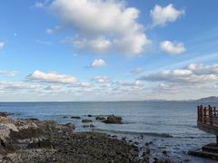 -养马岛旅游度假区
