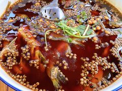 -青城甲(青城山店)