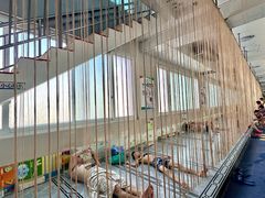 -兴芮温泉度假区