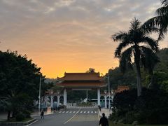 -深圳仙湖植物园