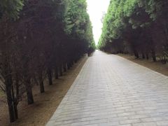 -秦始皇帝陵博物院-丽山园