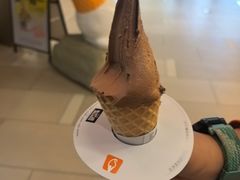 -野人先生现做冰淇淋(北京环宇荟店)