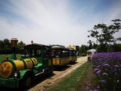 -同里国家湿地公园