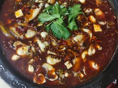 -云溪河冷锅鱼(成都玉林小吃街店)