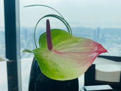 -瑞吉酒店·The Drawing Room闲逸廊·云端下午茶·夜奢Whiskey