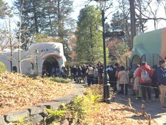 -三鹰之森吉卜力美术馆