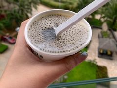 双皮奶-文昌邓记清补凉(西沙路店)