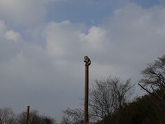 -杭州野生动物世界