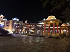 -三亚海昌梦幻海洋不夜城