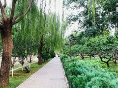 -元大都城垣遗址公园
