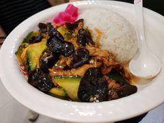 -阳阳中国饭(龙湖大兴天街)