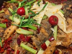 -老板恋上鱼(恒隆广场店)