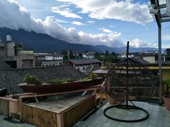 -喵屿·大理花园猫咖