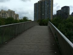 -南翔镇银翔湖公园