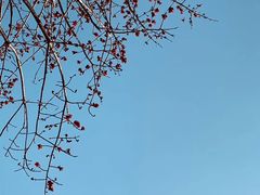 -金山公园
