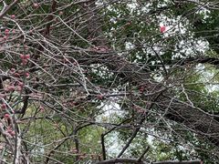 -浙江大学医学院附属第一医院(庆春院区)