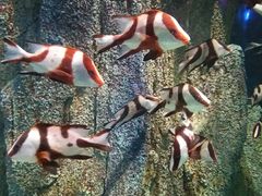 -福州罗源湾海洋世界旅游区