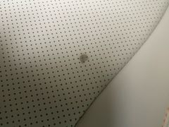 -天猫养车贴膜轻改·蓝电(优匹康桥东路店)