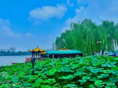 -济南大明湖景区